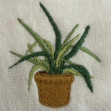 Mini Spider Plant Tee