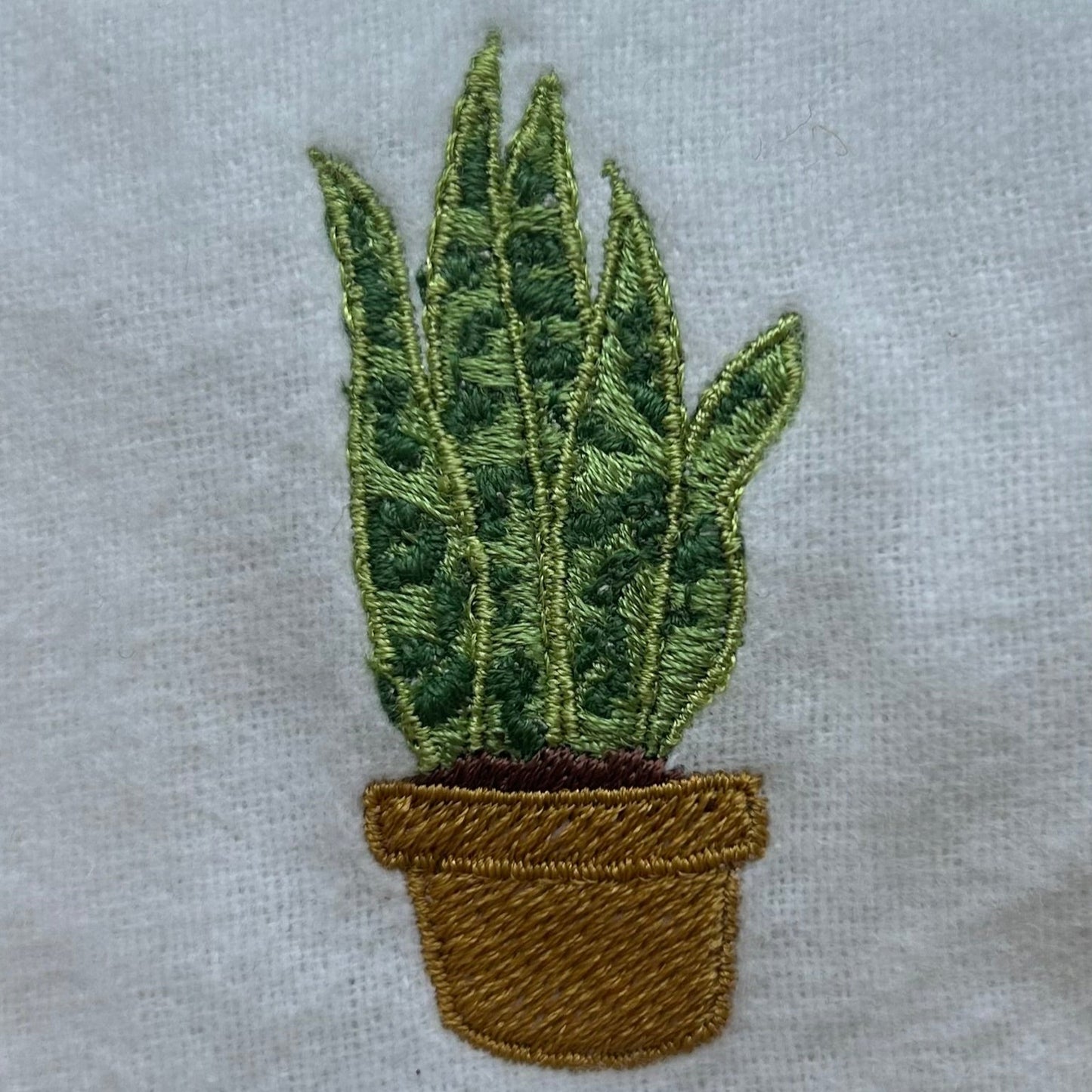 Mini Snake Plant Tee