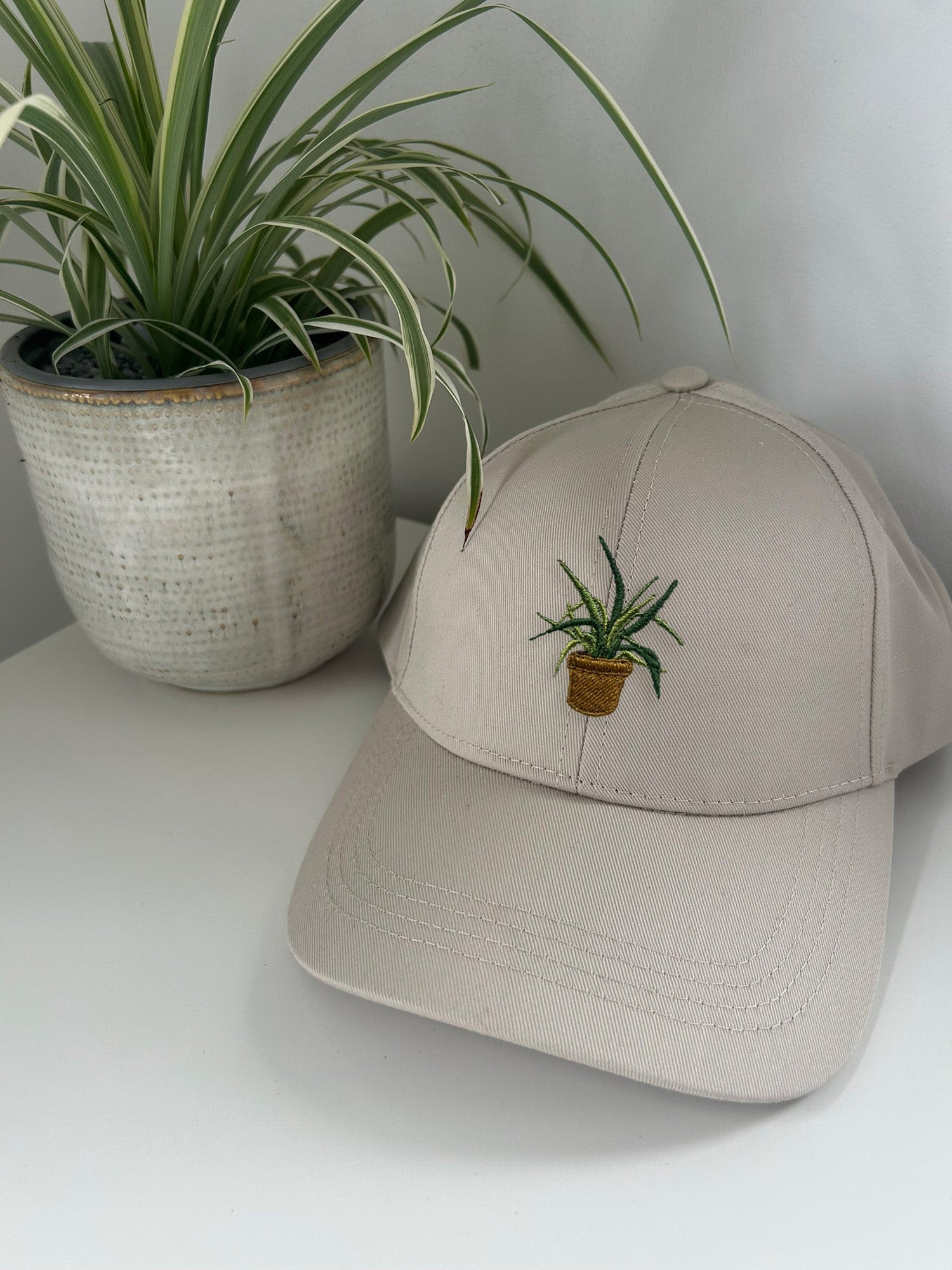 The Plant Collection