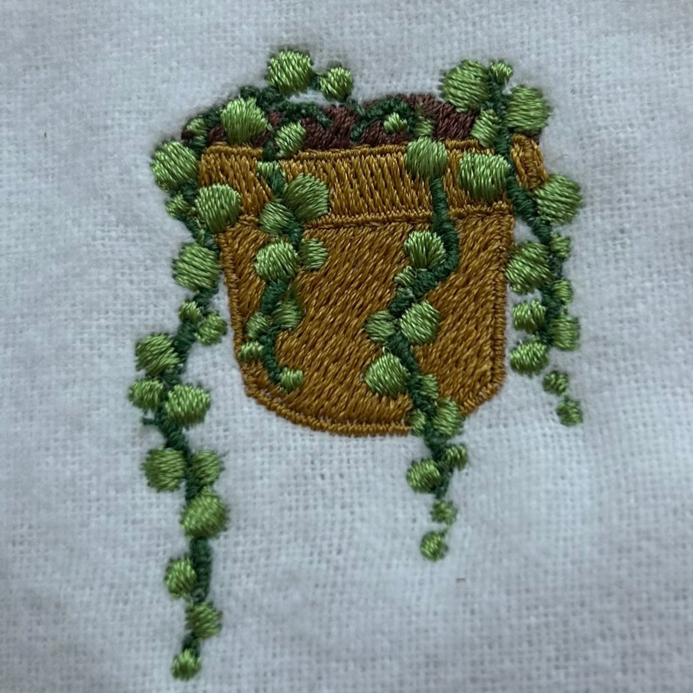 String of Pearls Socks