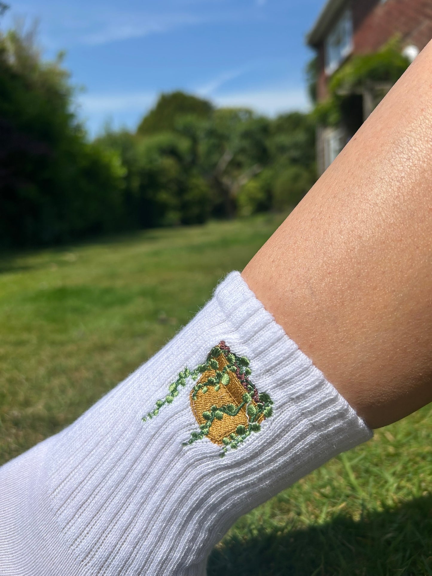 String of Pearls Socks